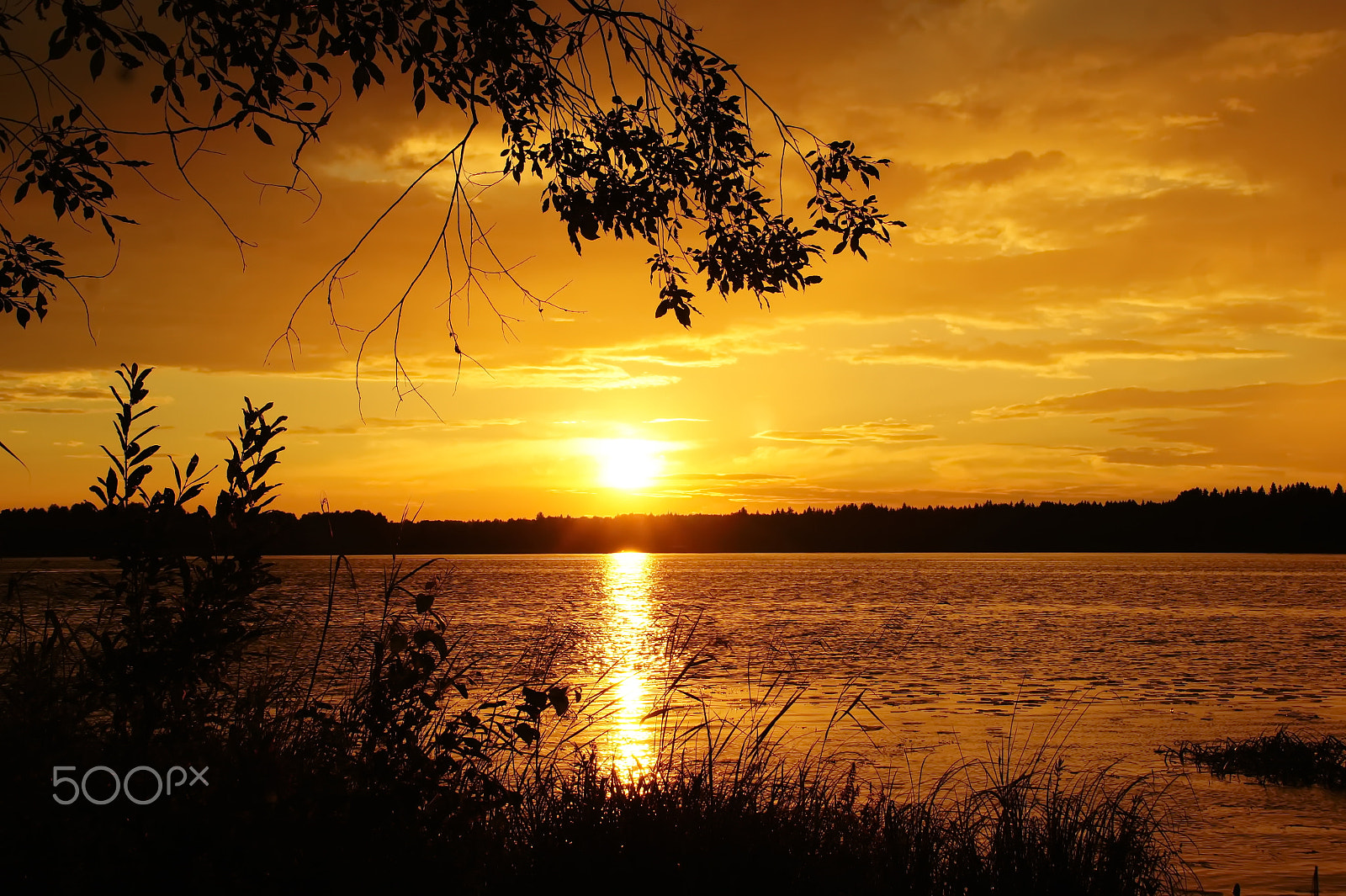 Sony Alpha DSLR-A550 sample photo. Again sunset swept by fire ... photography