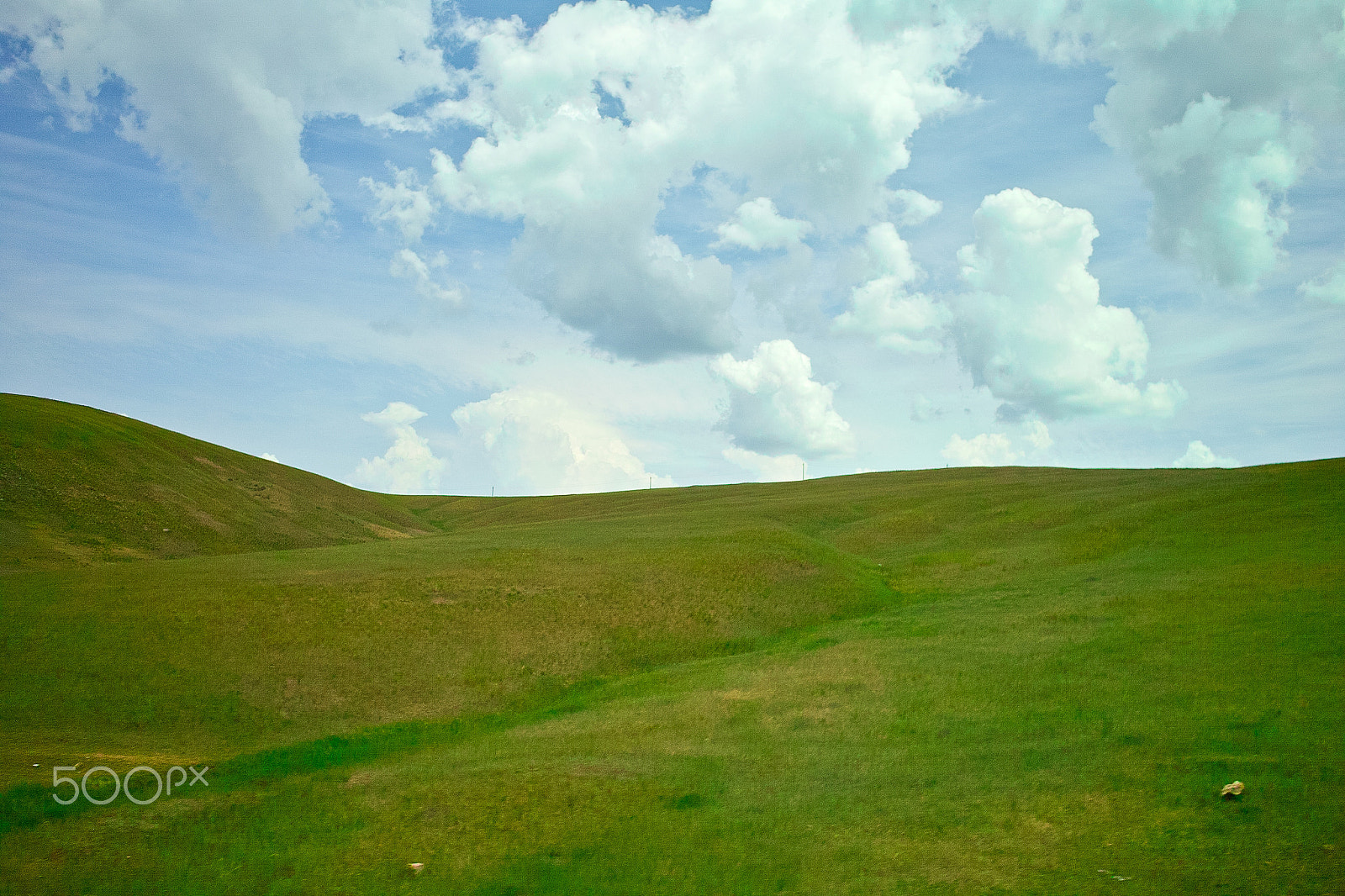 Sigma DP1s sample photo. Grassland photography