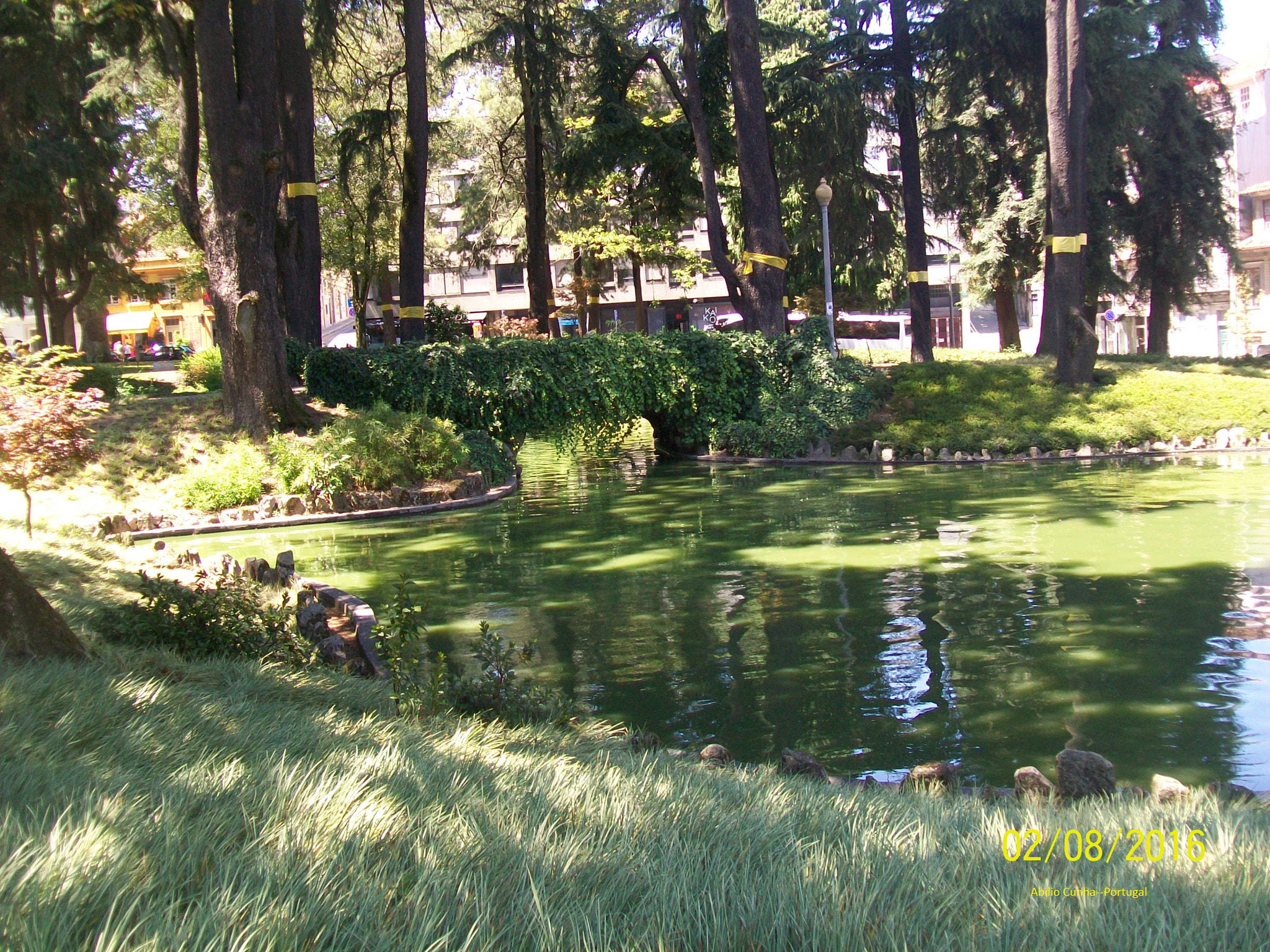 Kodak EasyShare C913 sample photo. Lago do jardim do carregal porto portugal photography
