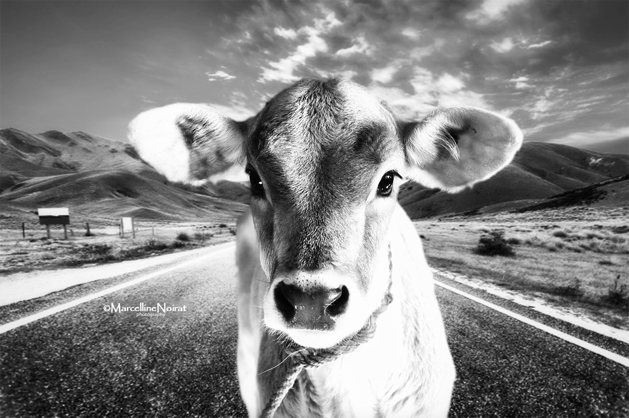 Nikon D5000 sample photo. On the road photography