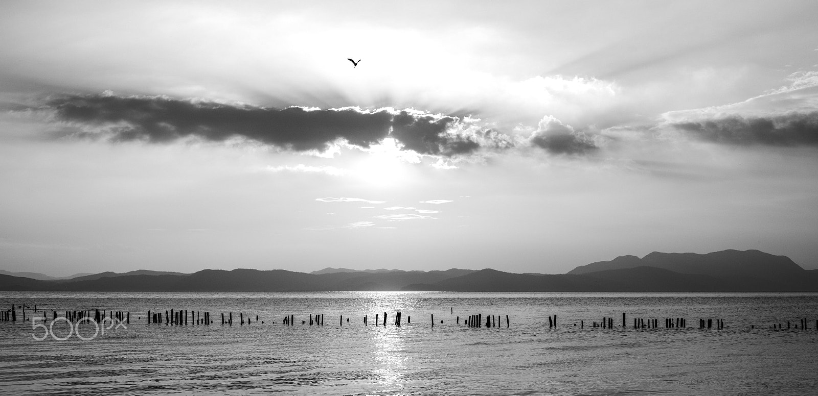ZEISS Makro-Planar T* 50mm F2 sample photo. Dianchi sunset photography