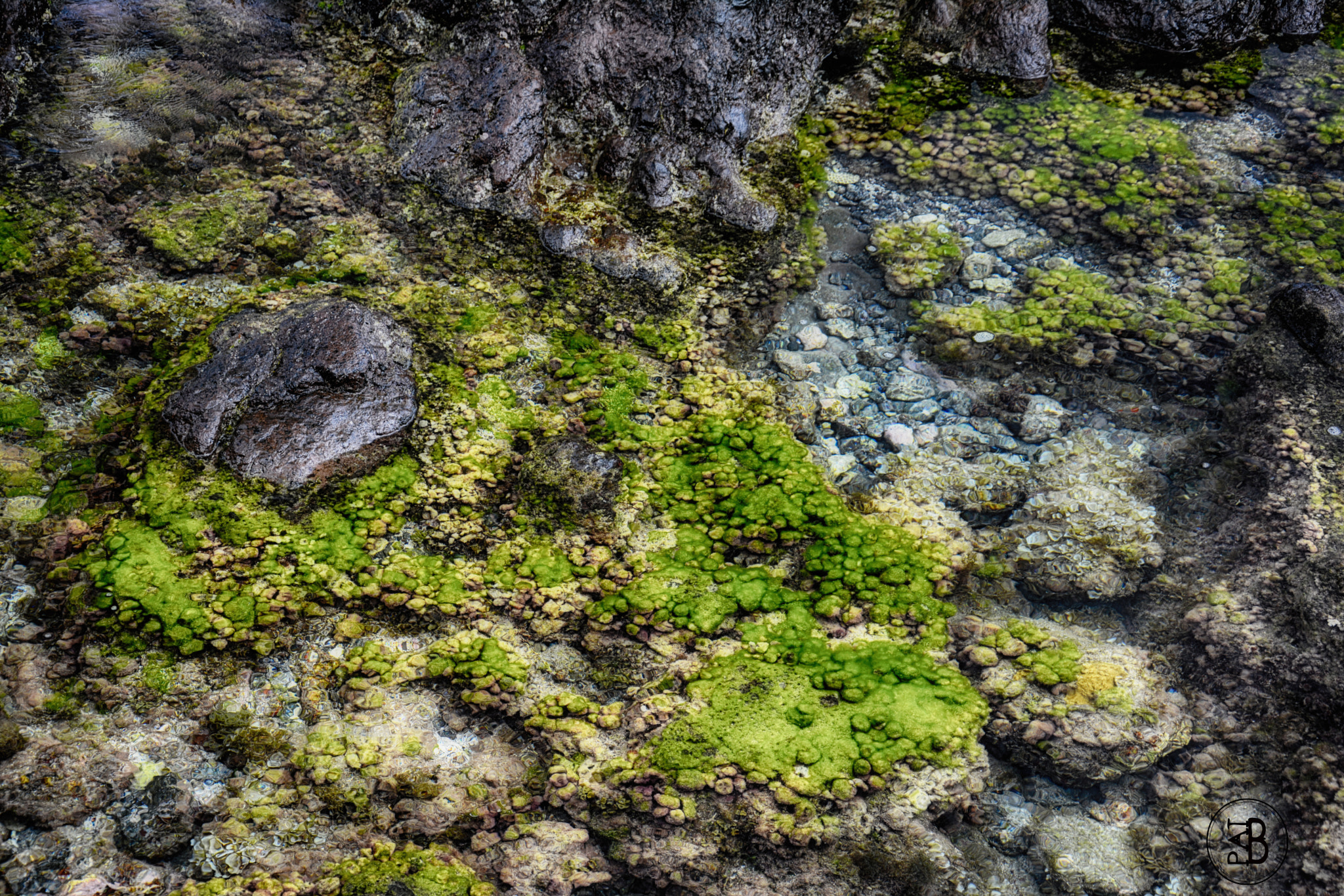 Nikon D7100 + AF Zoom-Nikkor 35-135mm f/3.5-4.5 N sample photo. Spot de trois-bassins - reunion island photography