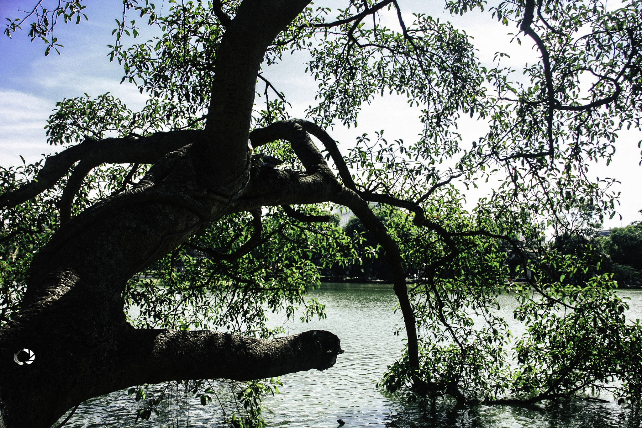 Canon EOS 40D sample photo. Bn photography