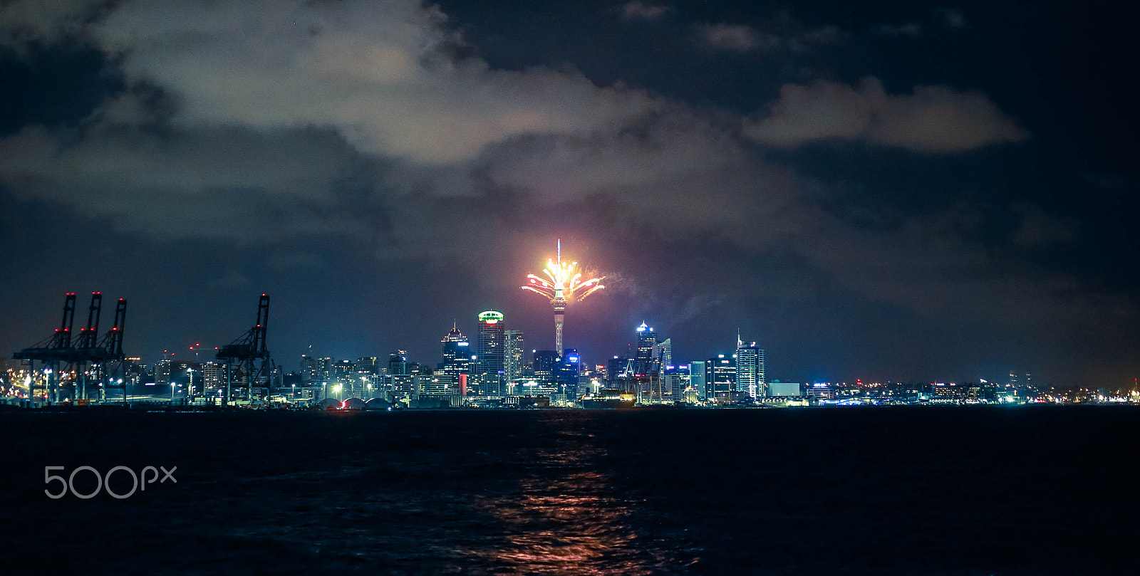 ZEISS Makro-Planar T* 50mm F2 sample photo. New zealand photography