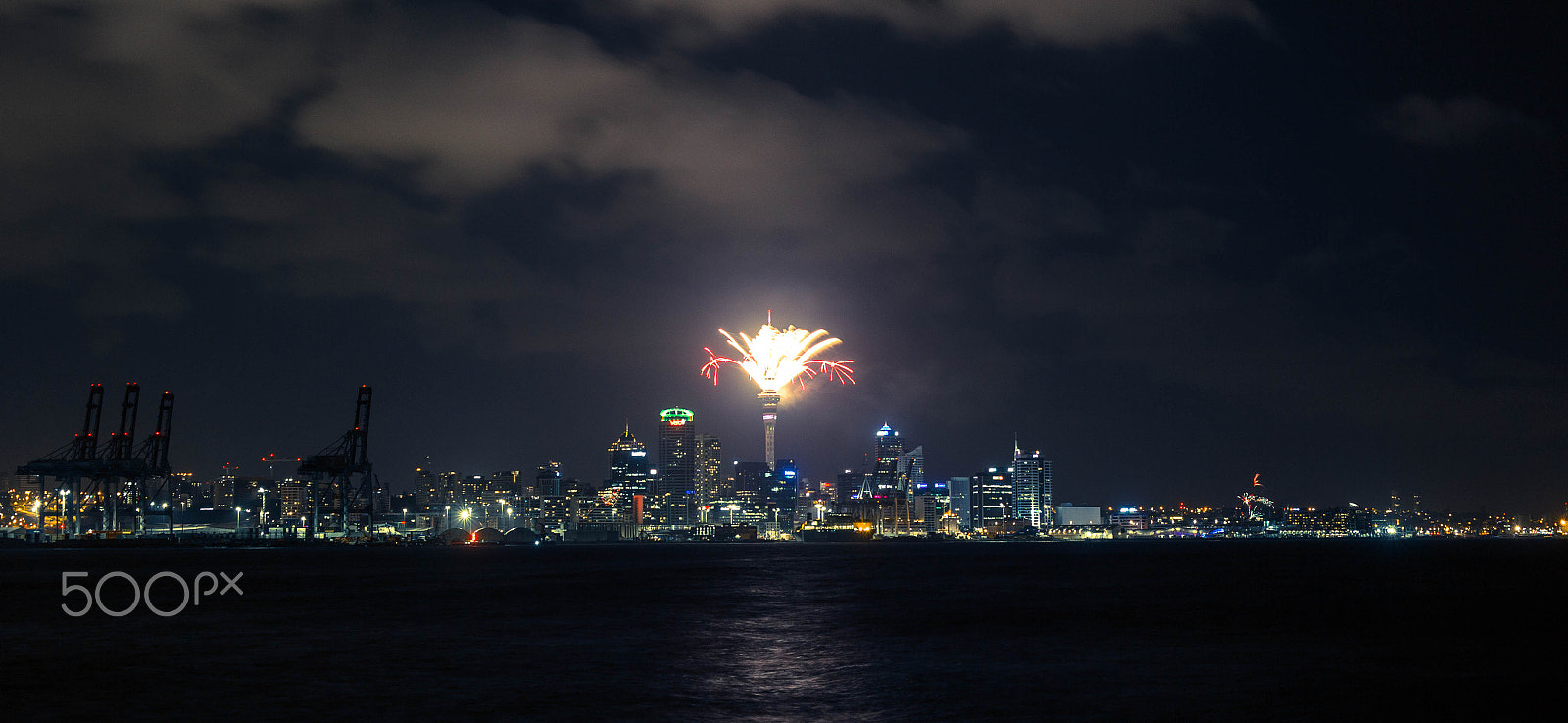 ZEISS Makro-Planar T* 50mm F2 sample photo. New zealand photography