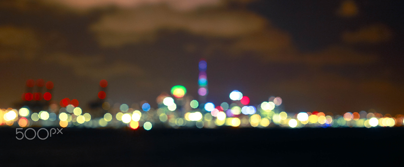 ZEISS Makro-Planar T* 50mm F2 sample photo. New zealand photography