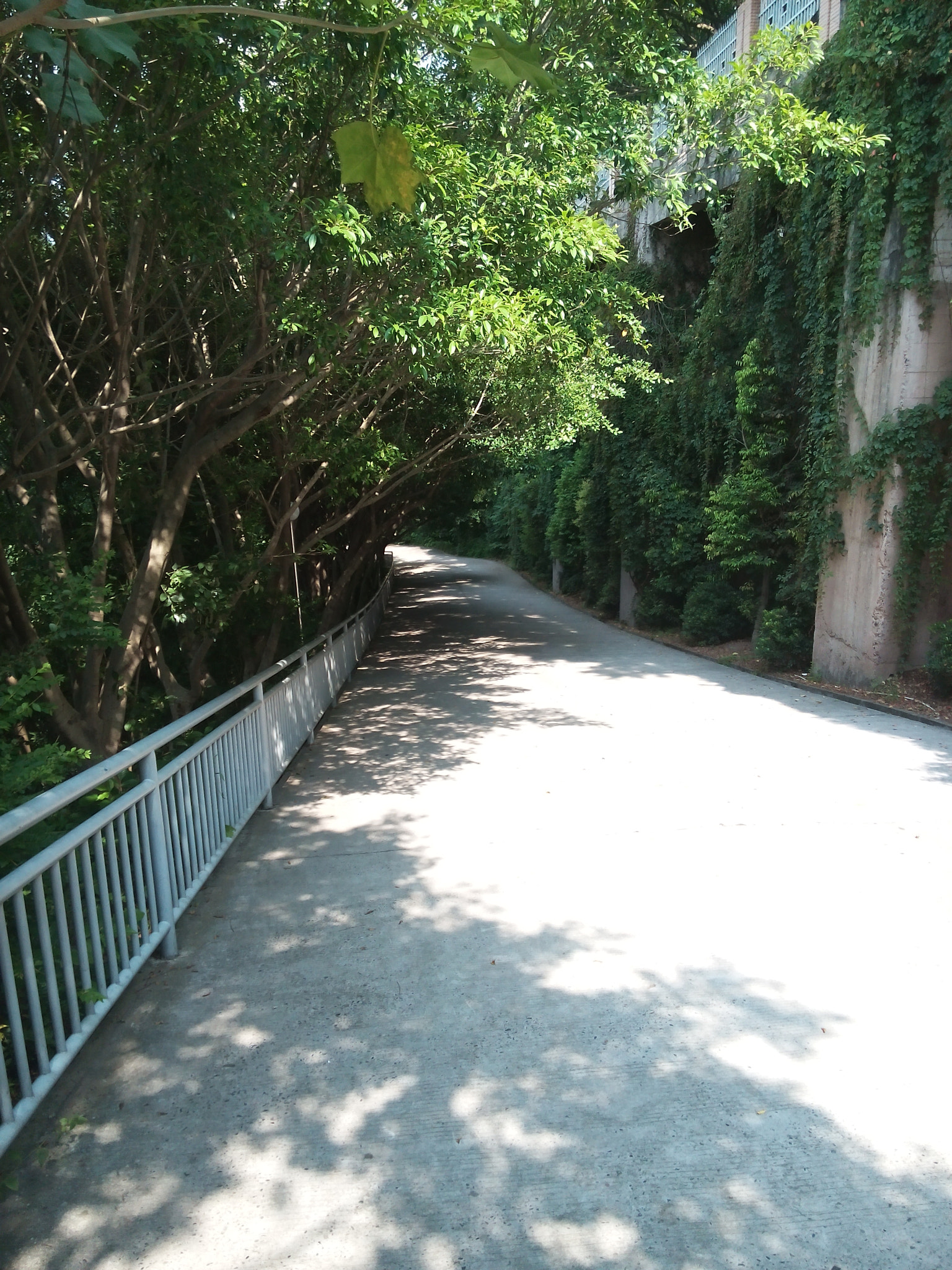vivo Y20T sample photo. Summer school road photography