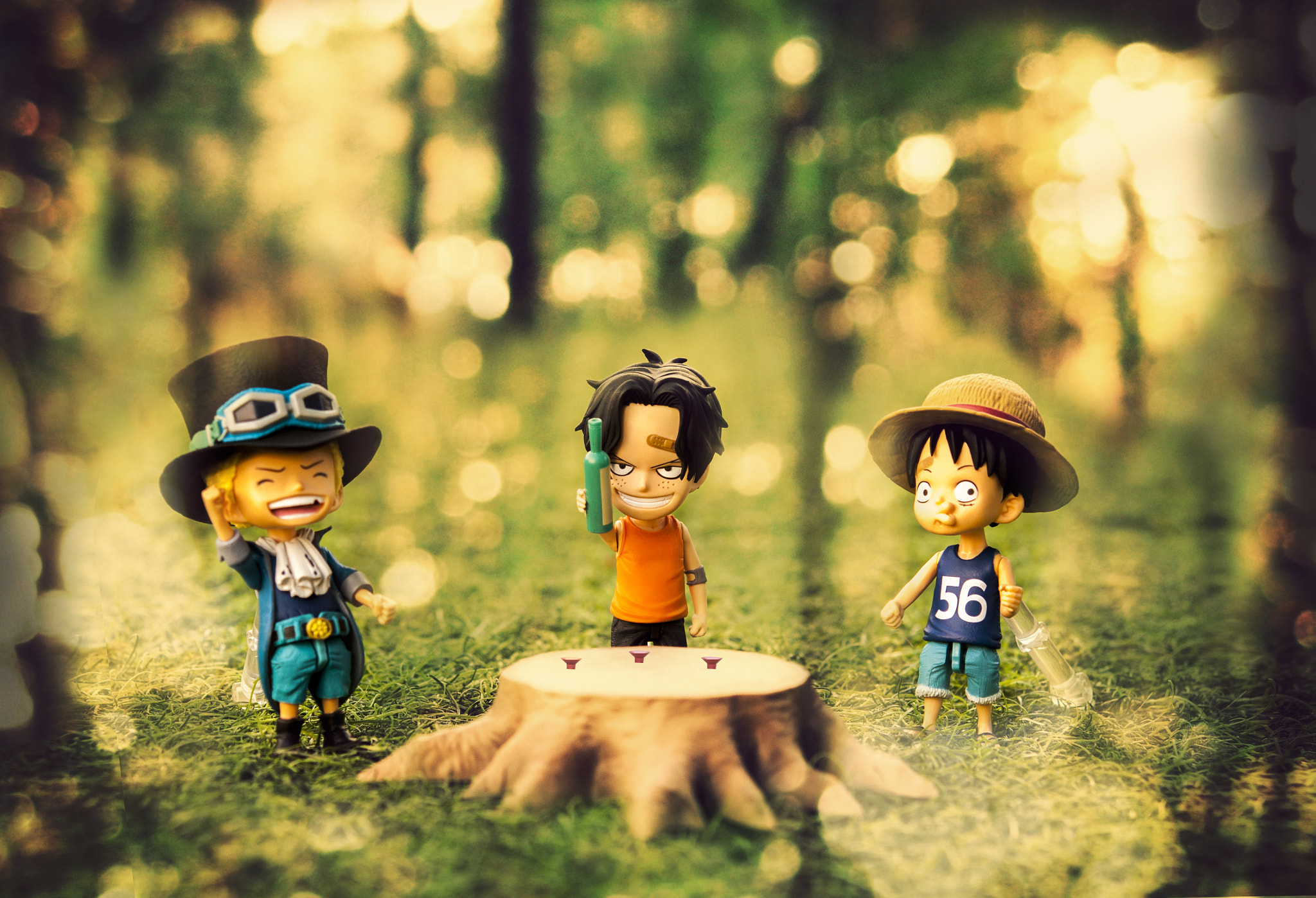 Nikon AF-S Micro-Nikkor 60mm F2.8G ED sample photo. Bros - one piece - luffy, sabo, ace photography