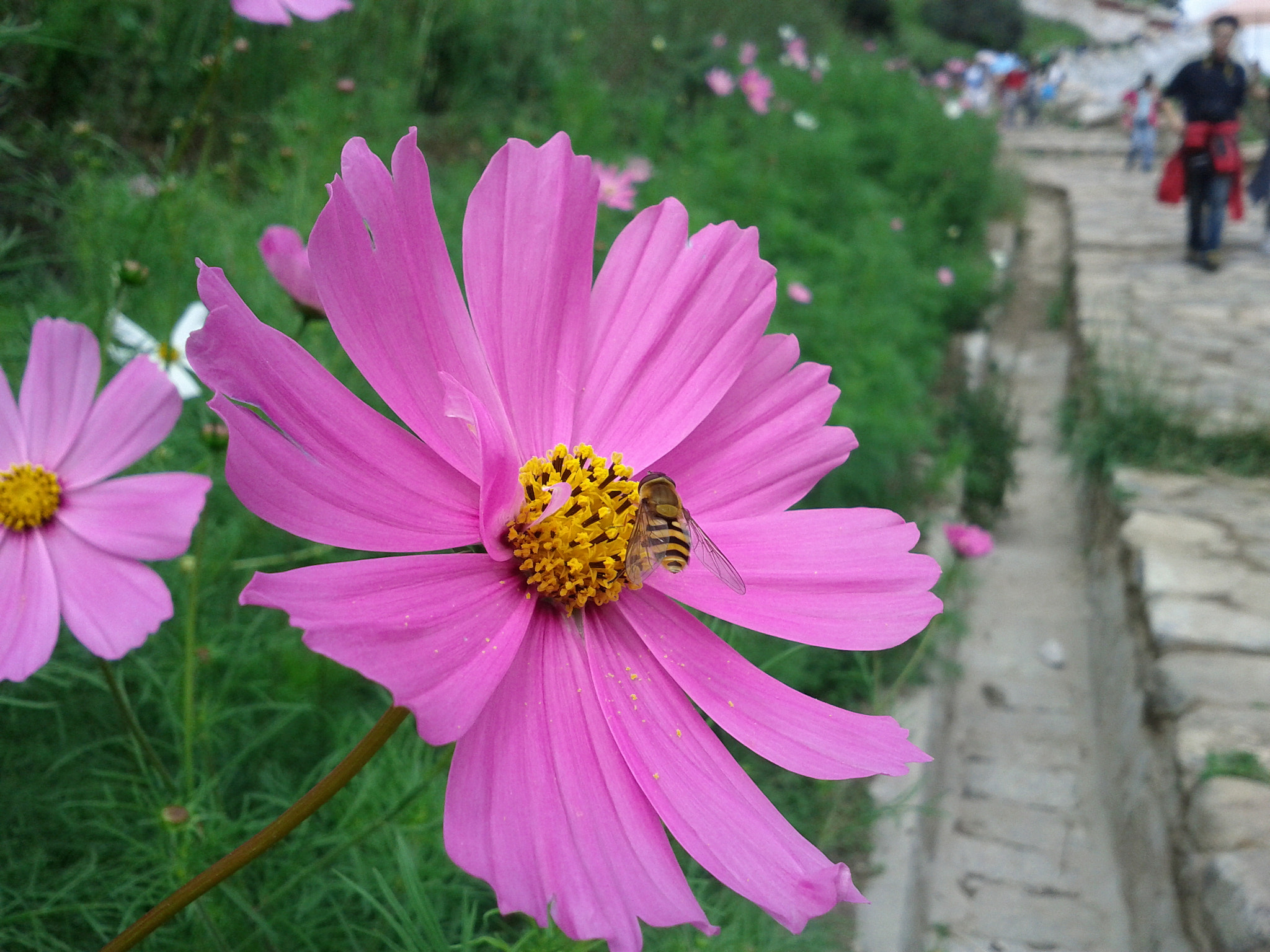Google Nexus S sample photo. Fm photography