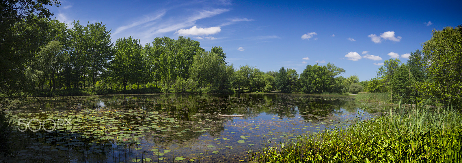 Olympus PEN E-PL5 sample photo. Summer panorama photography