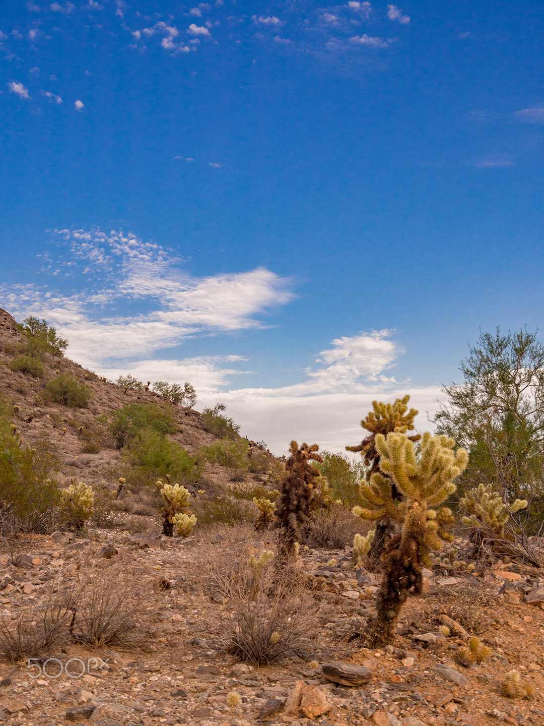Olympus PEN E-PL5 sample photo. Skyline regional park 11 photography