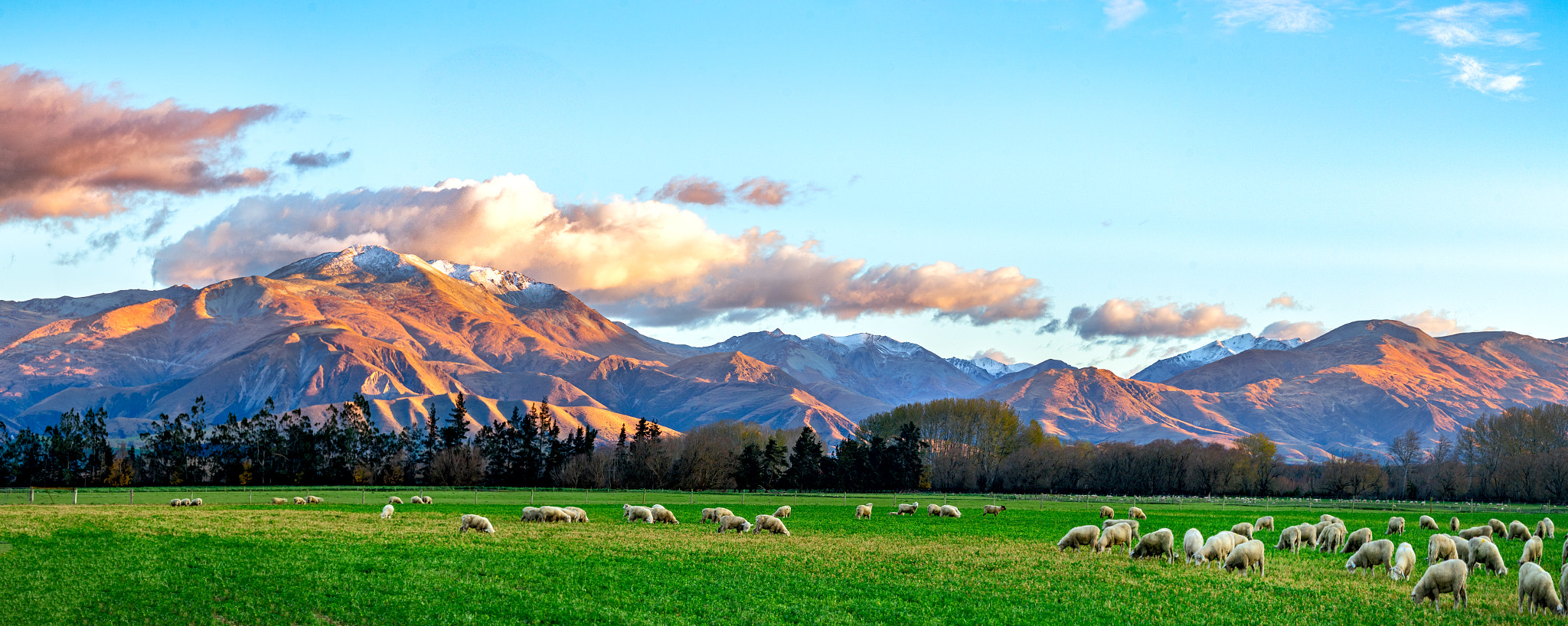 Sigma 18-200mm f/3.5-6.3 DC OS sample photo. Deep in mackenzie country photography