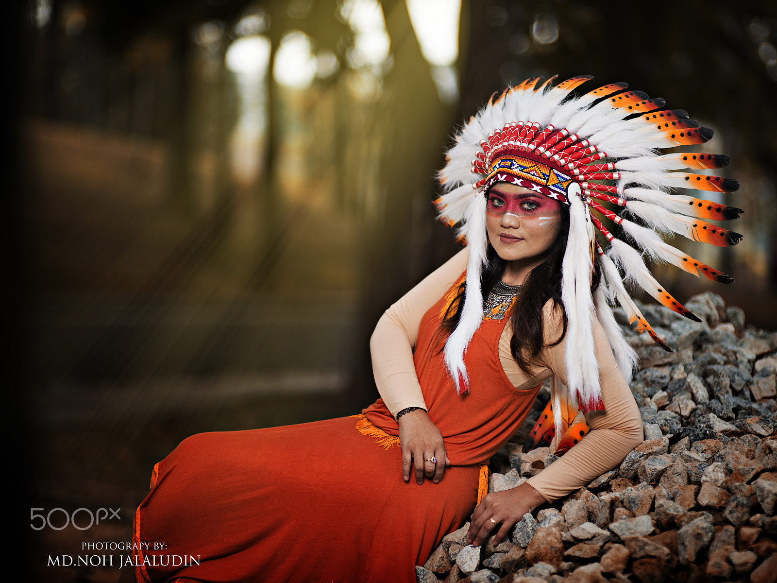 Nikon D800E + Sigma 85mm F1.4 EX DG HSM sample photo. Red indian-3 photography