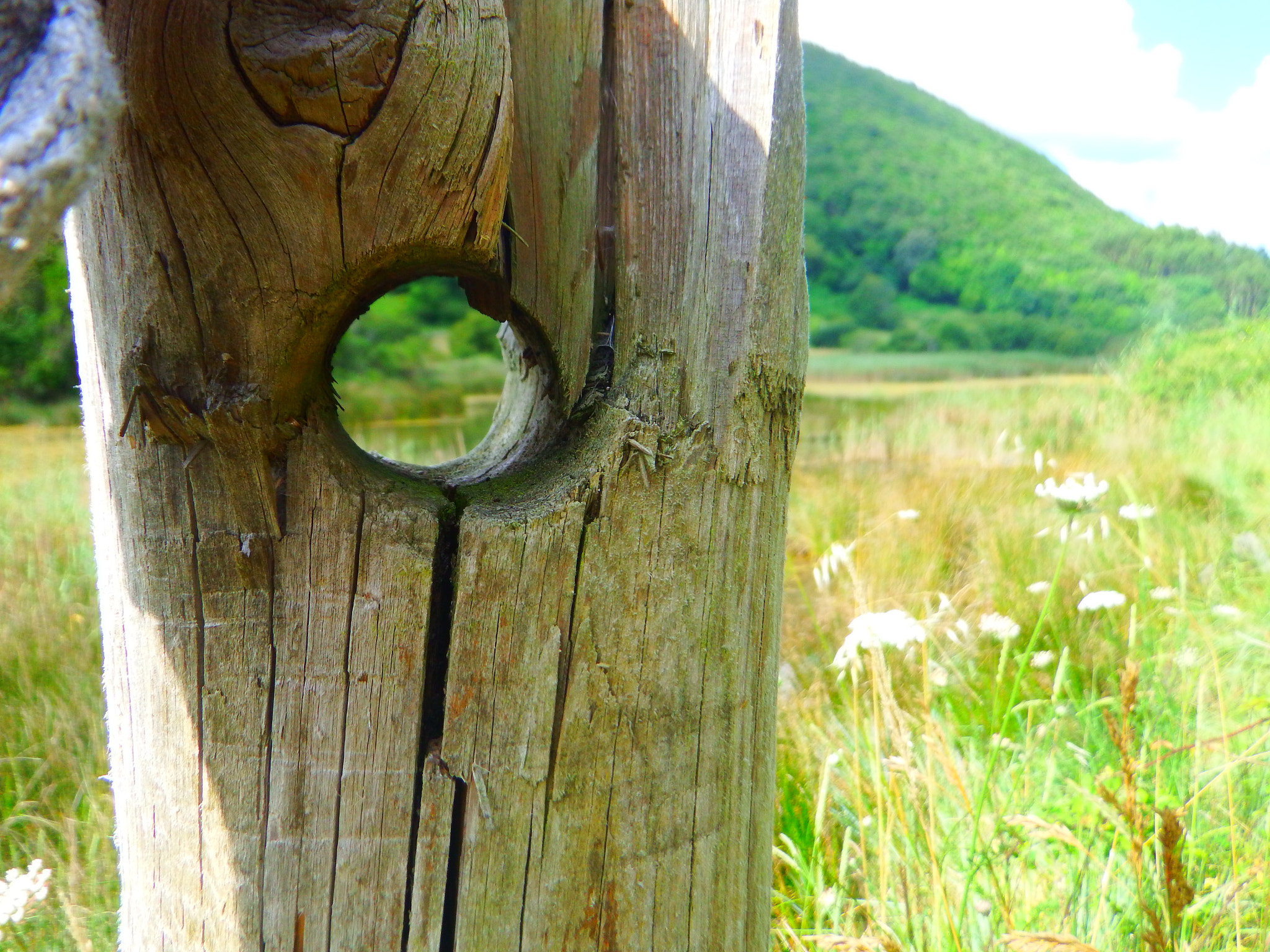 Fujifilm FinePix XP200/XP210 sample photo. Wooden hole. photography