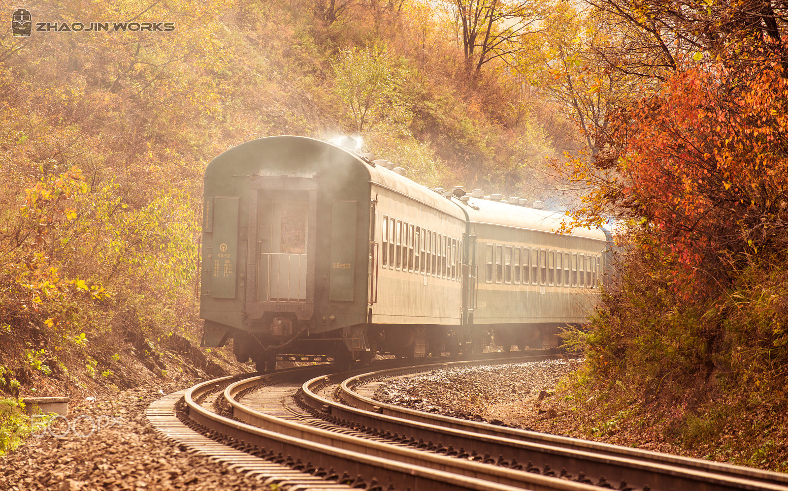 Nikon D800E sample photo. Autumn train photography
