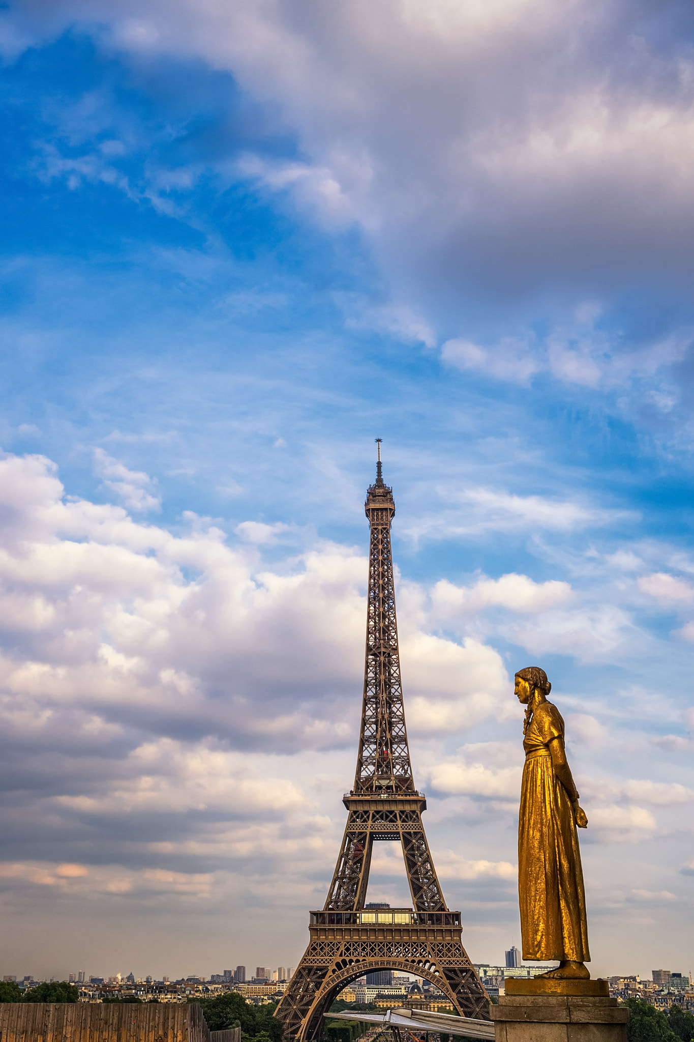Nikon D5 sample photo. Eiffel tower photography