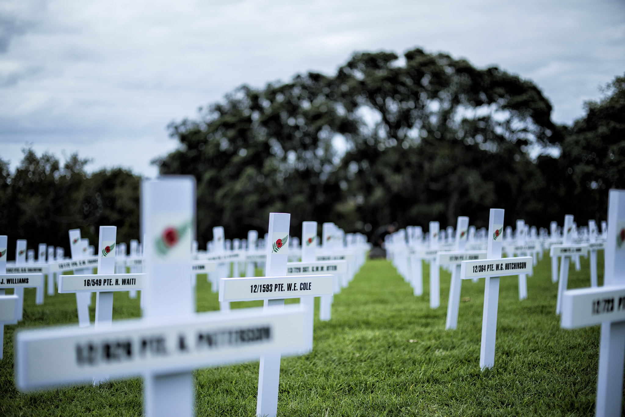 Canon EOS-1D X sample photo. Cemetery photography