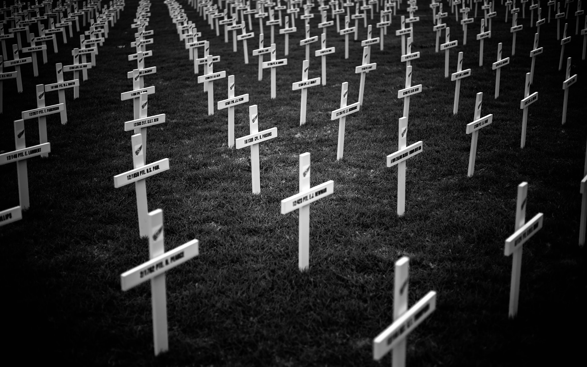 ZEISS Makro-Planar T* 50mm F2 sample photo. Cemetery photography