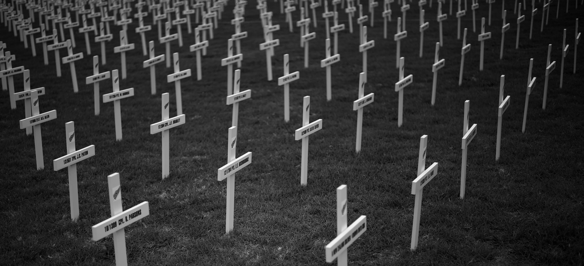 ZEISS Makro-Planar T* 50mm F2 sample photo. Cemetery photography