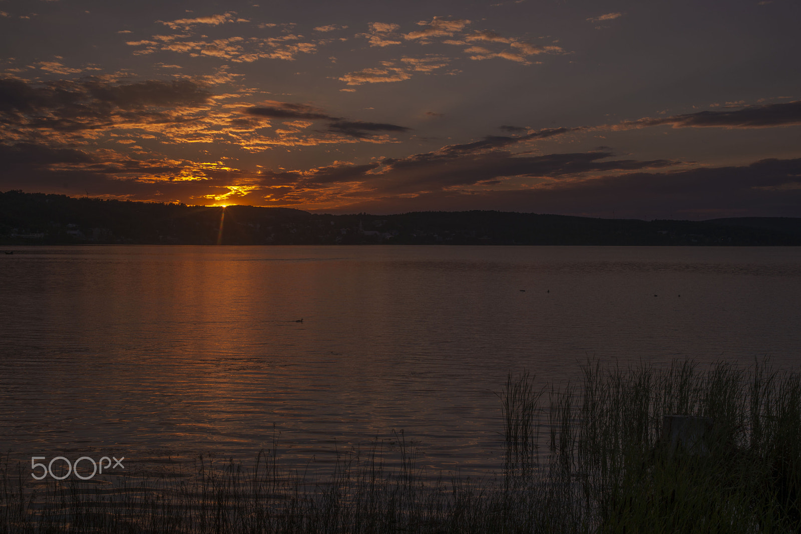 Sony Alpha DSLR-A900 + Sigma 17-70mm F2.8-4.5 (D) sample photo. Sunset on lake william photography