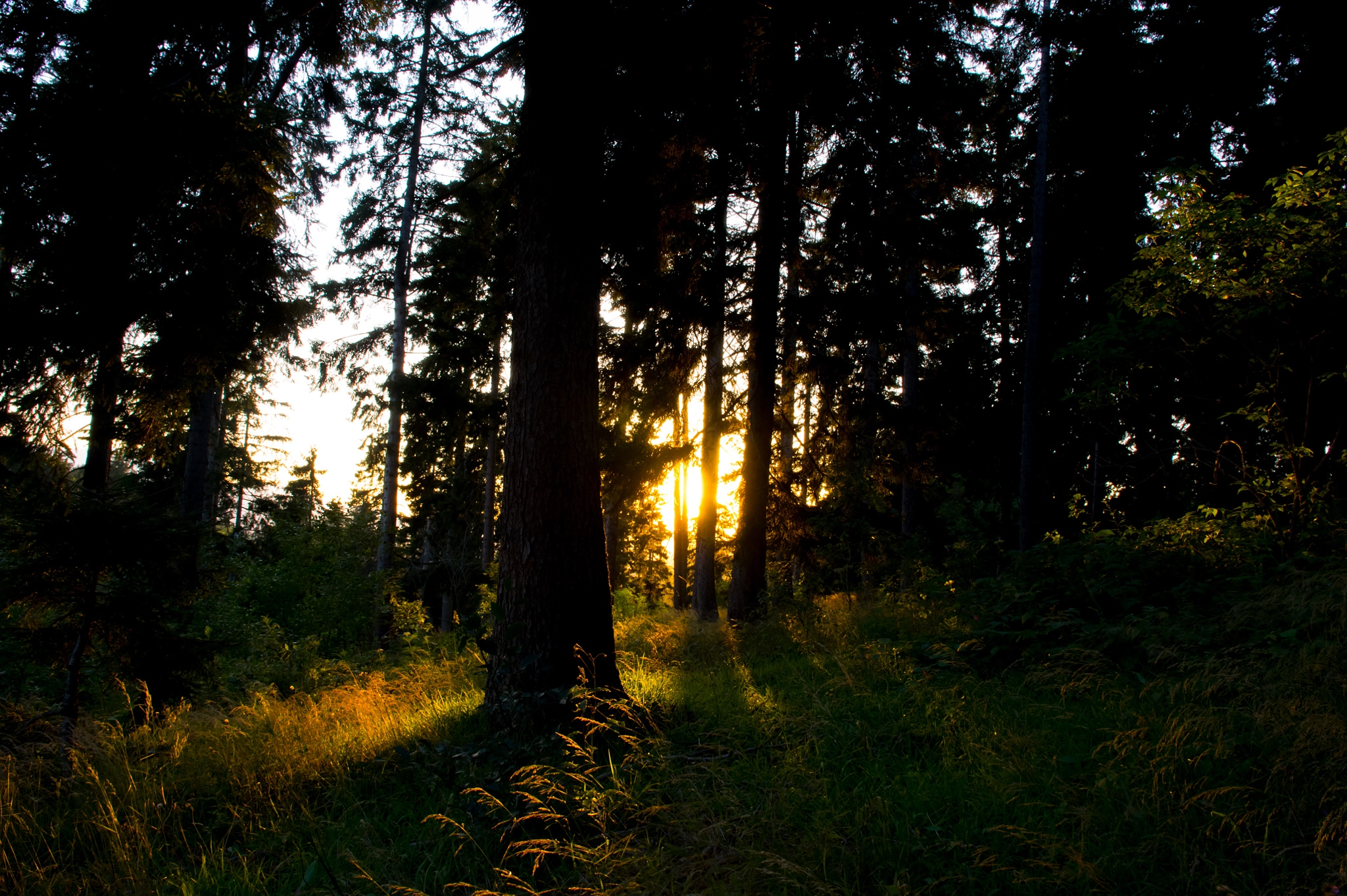 Pentax K-3 II sample photo. Sunset photography