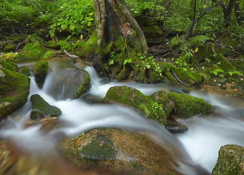 Canon TS-E 24mm F3.5L II Tilt-Shift sample photo. 夏日溪水 photography