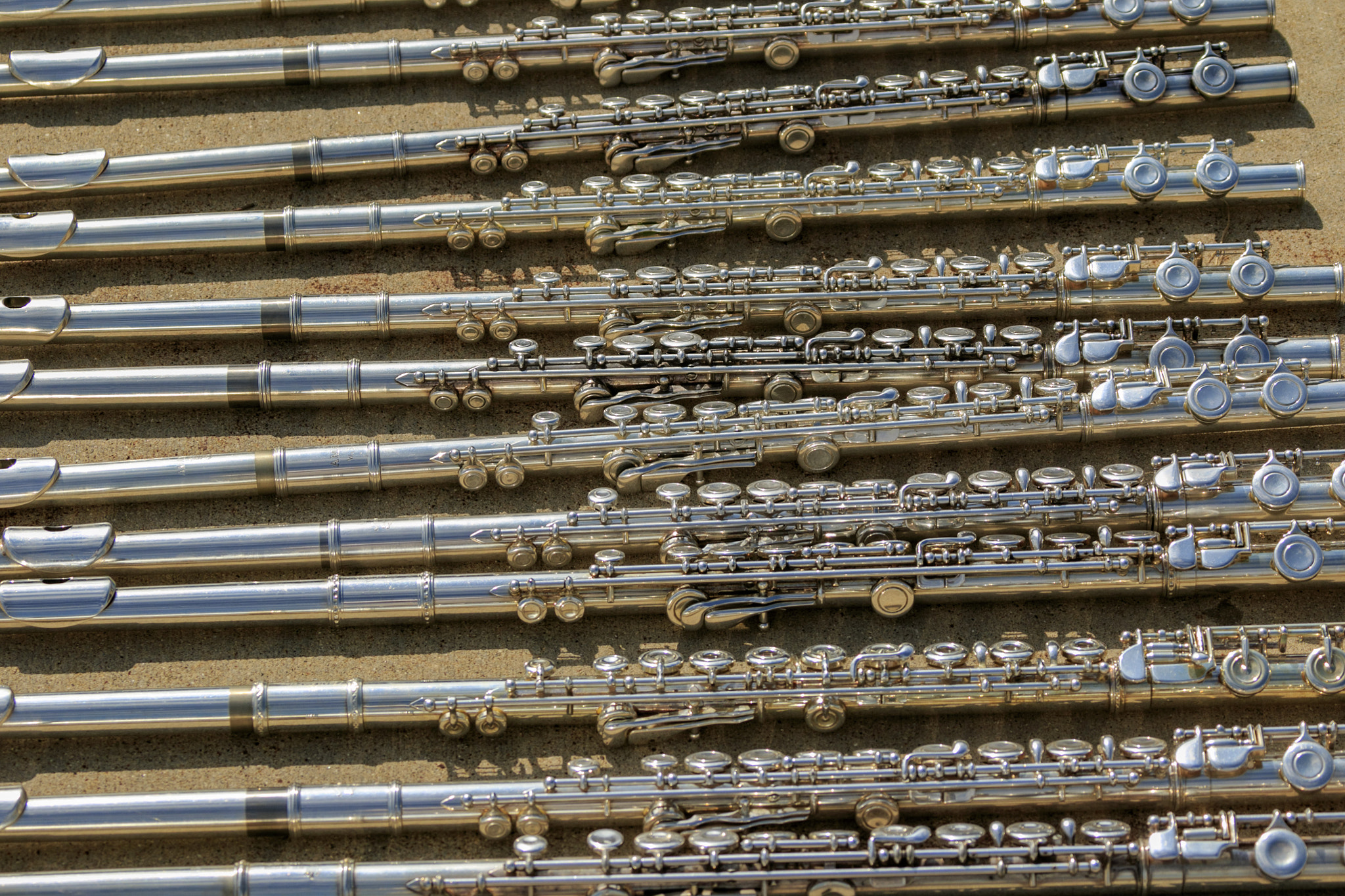Canon EF 28-300mm F3.5-5.6L IS USM sample photo. Rows #2 photography