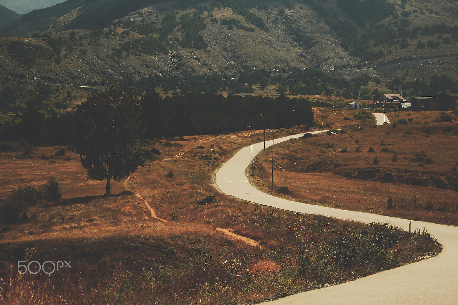 Canon EF-S 18-55mm F3.5-5.6 IS sample photo. The curly road photography