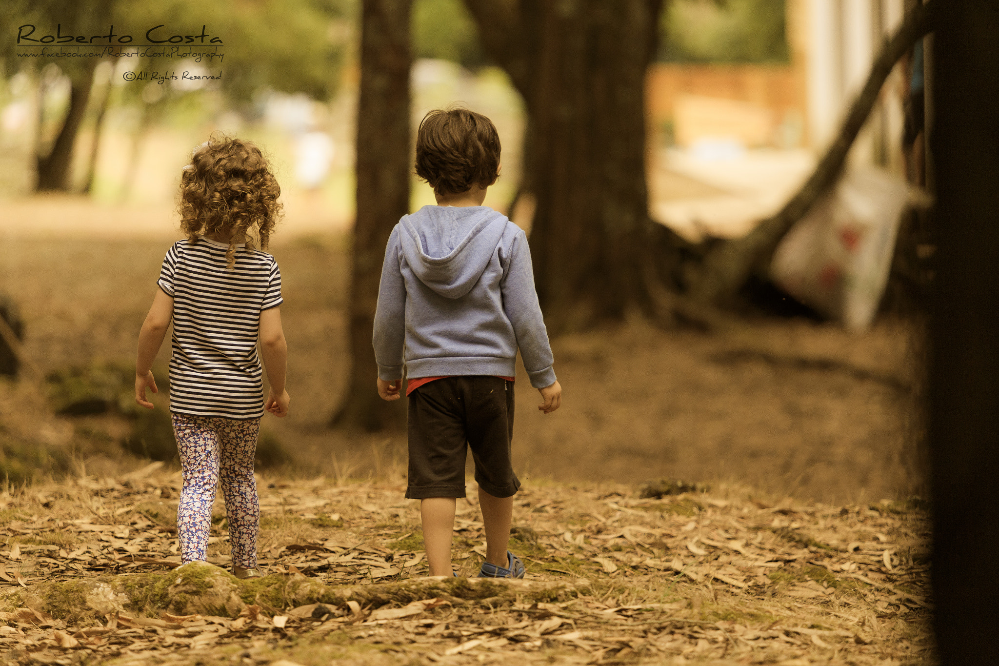 Canon EF 70-200mm F2.8L USM sample photo. A walk in the park ! photography