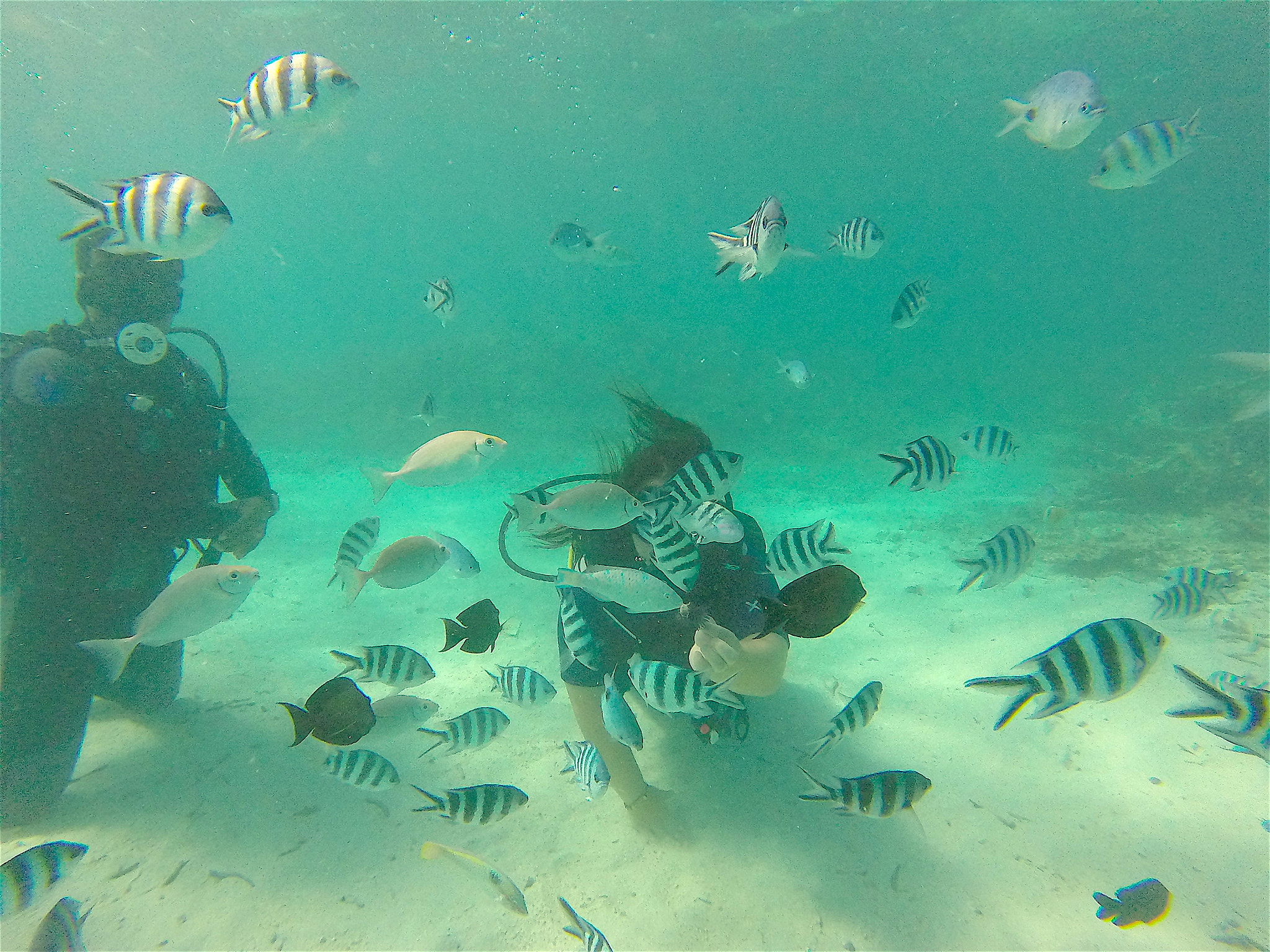GoPro HERO sample photo. Dcim\100gopro photography