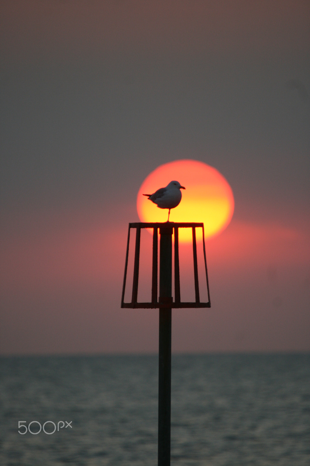 Sigma 50-500mm f/4-6.3 APO HSM EX sample photo. Sunsets and sea photography