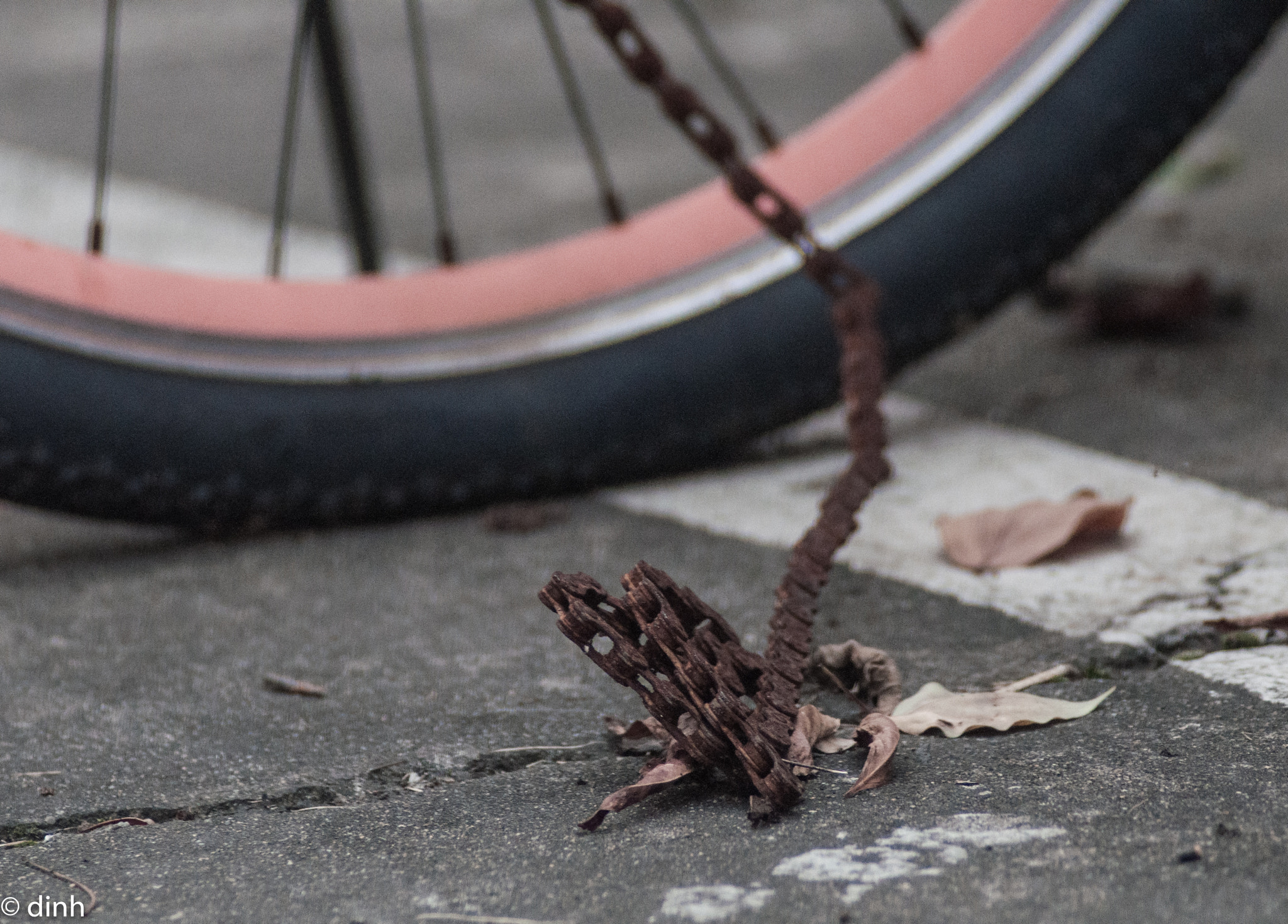 Nikon AF-Nikkor 80-200mm F2.8D ED sample photo