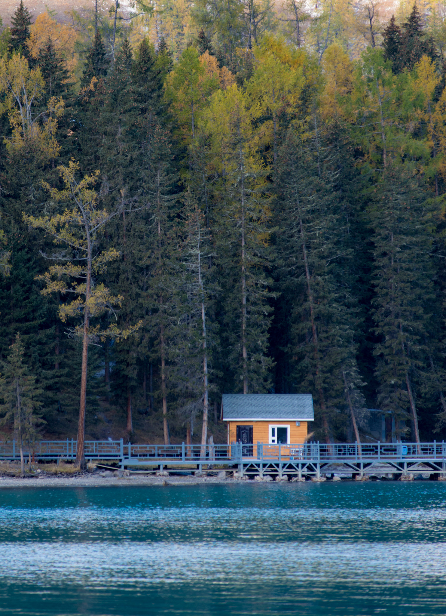 Nikon AF-Nikkor 80-200mm F2.8D ED sample photo. House photography