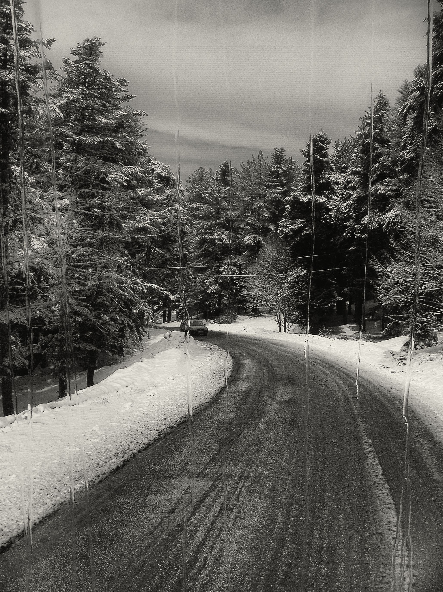 Nikon COOLPIX S9 sample photo. Snow photography
