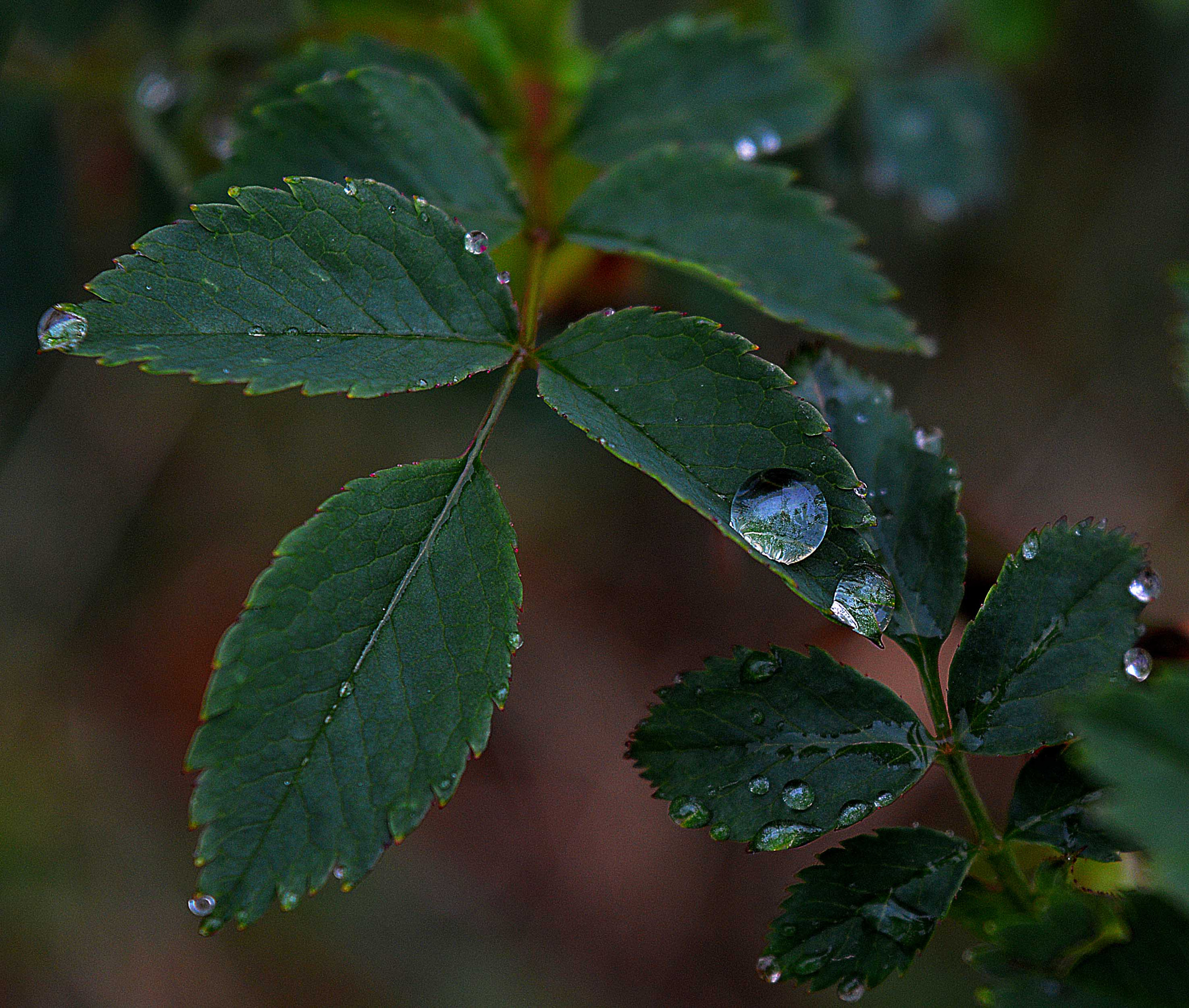 Nikkor 45mm f/2.8 P sample photo. Marble photography