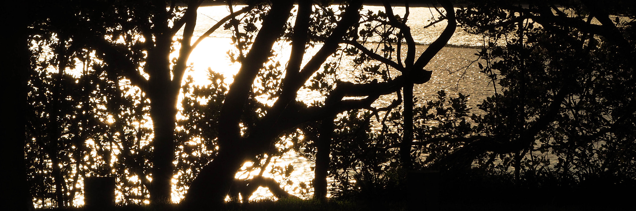 Olympus OM-D E-M10 II sample photo. Sunset at the river photography
