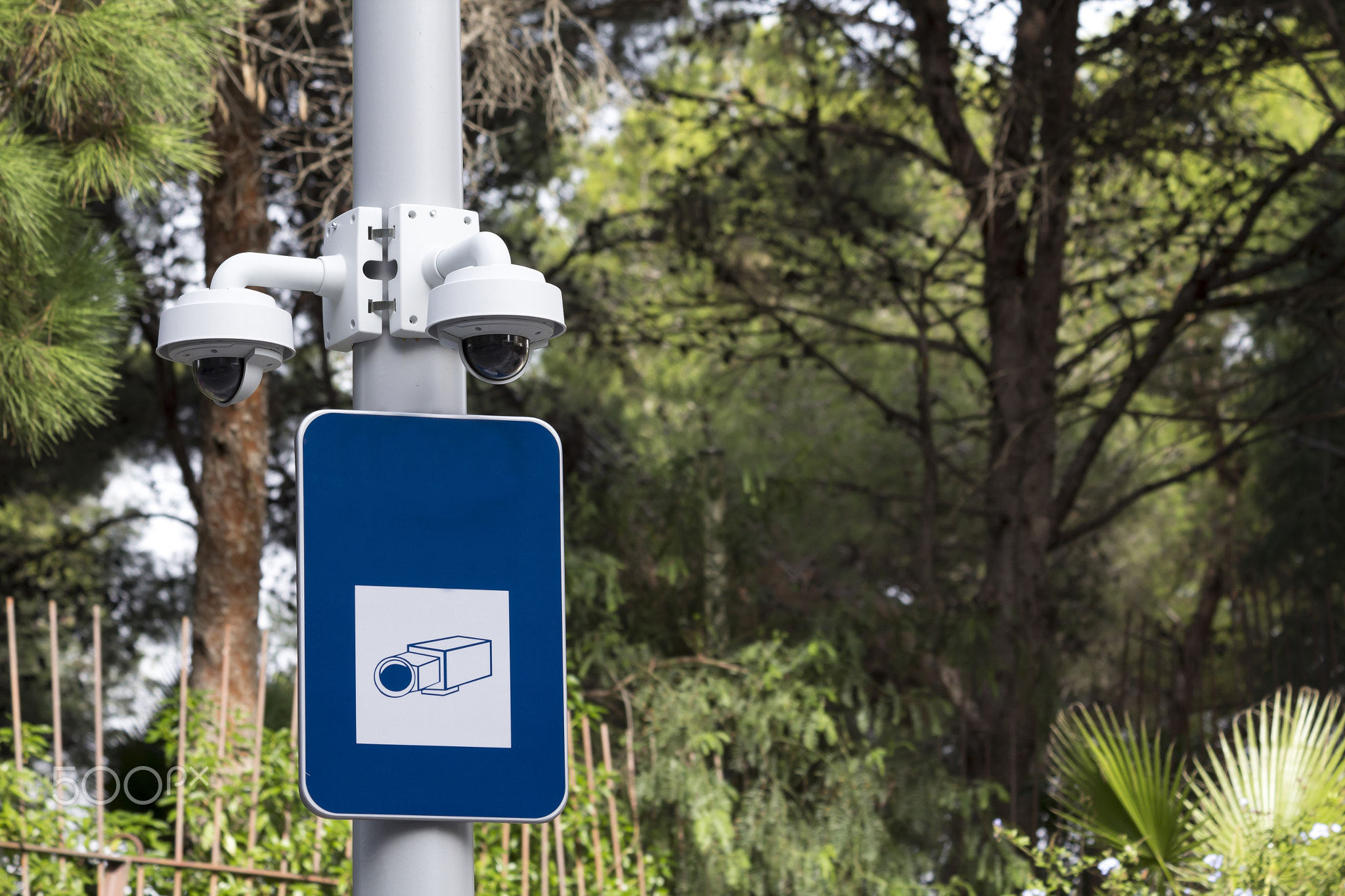 Security cam in a public park