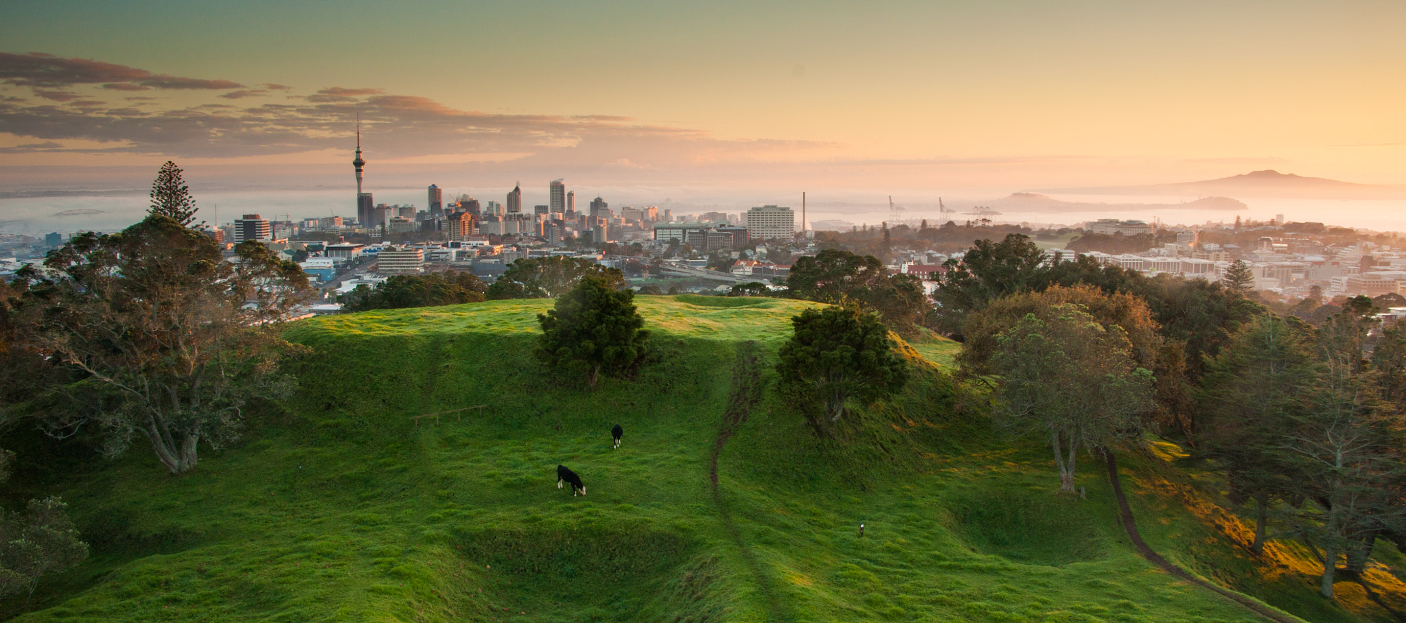 Sony Alpha DSLR-A700 sample photo. Auckland city from mount eden photography