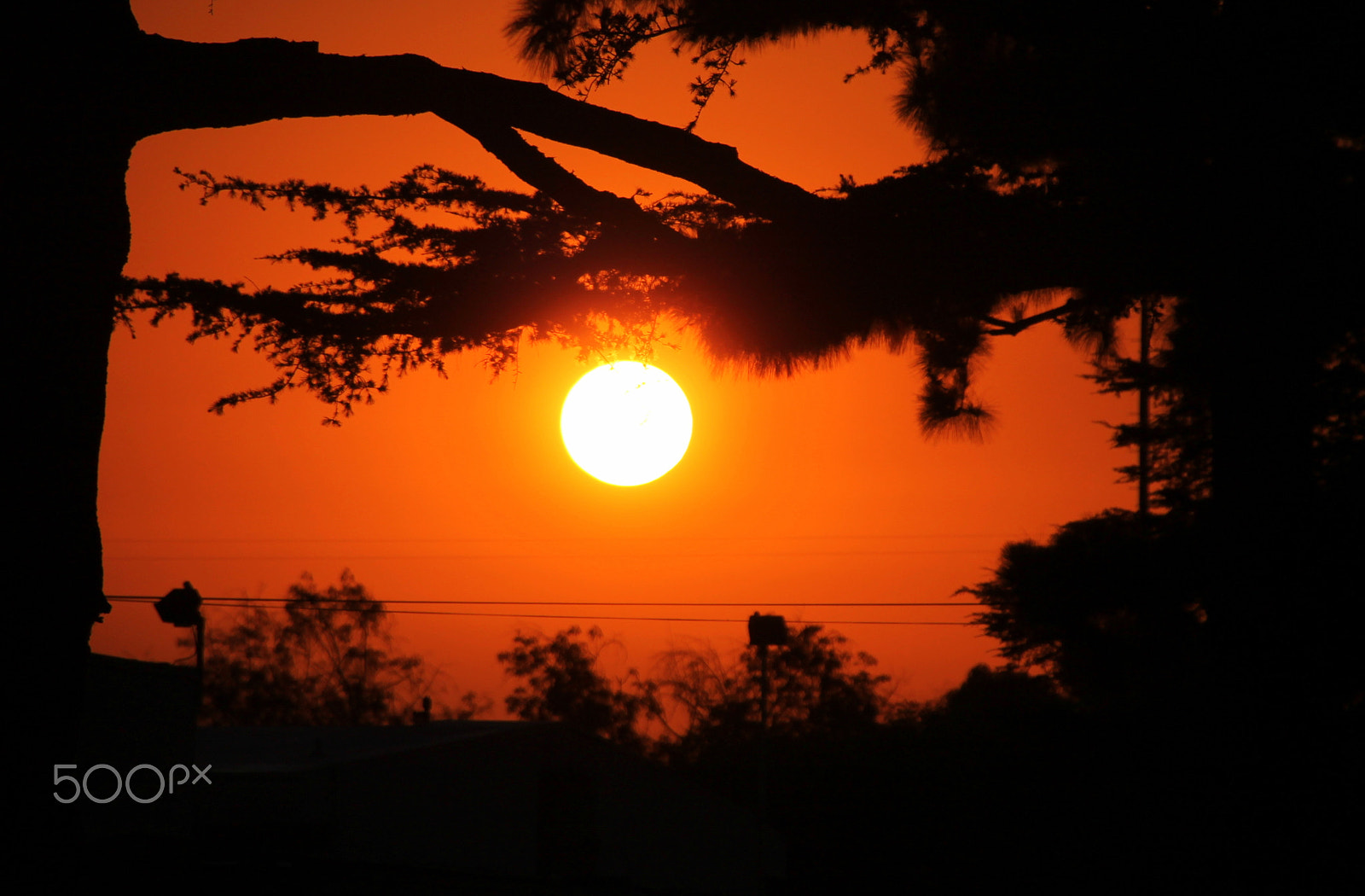 Canon EOS 1100D (EOS Rebel T3 / EOS Kiss X50) sample photo. Splendore photography