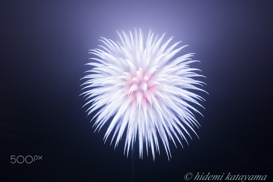 Sony DT 18-70mm F3.5-5.6 sample photo. Fireworks art photography