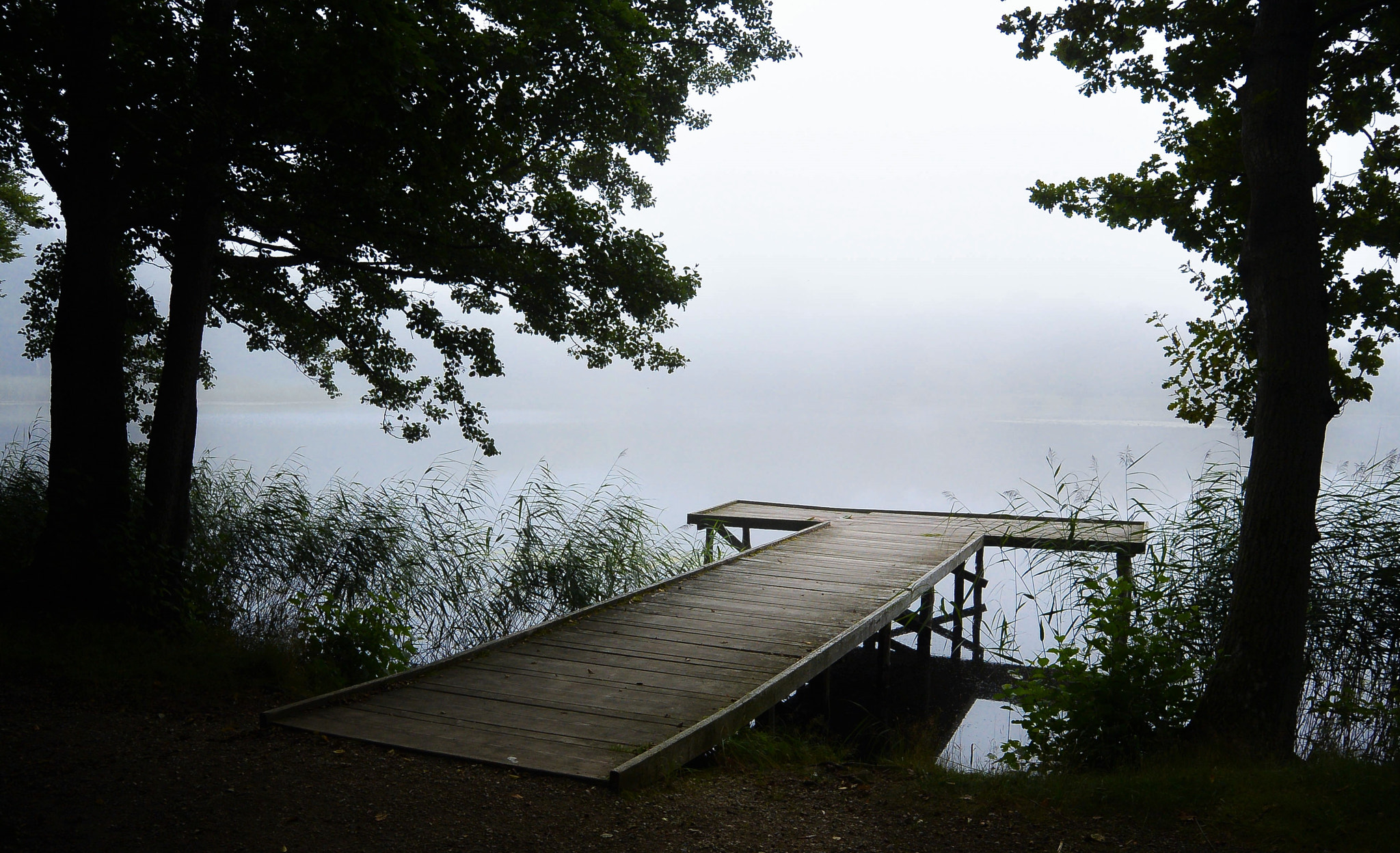 Nikon 1 Nikkor 11-27.5mm F3.5-5.6 sample photo. The lake photography