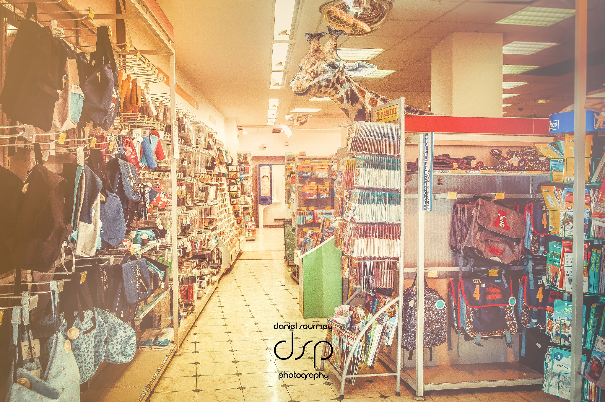Sigma 17-35mm f/2.8-4 EX DG Aspherical HSM sample photo. #school photography