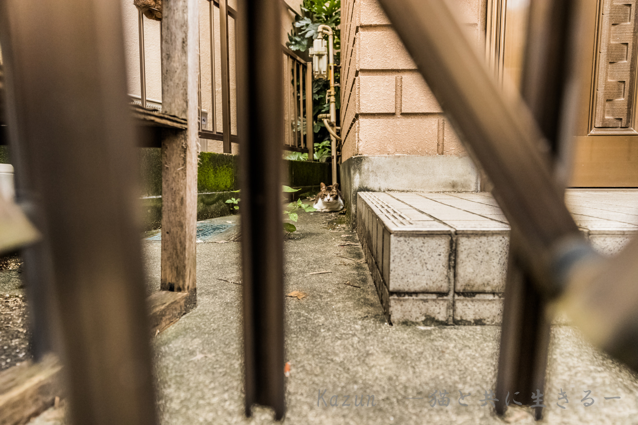 Canon EF 11-24mm F4L USM sample photo. Relax! photography