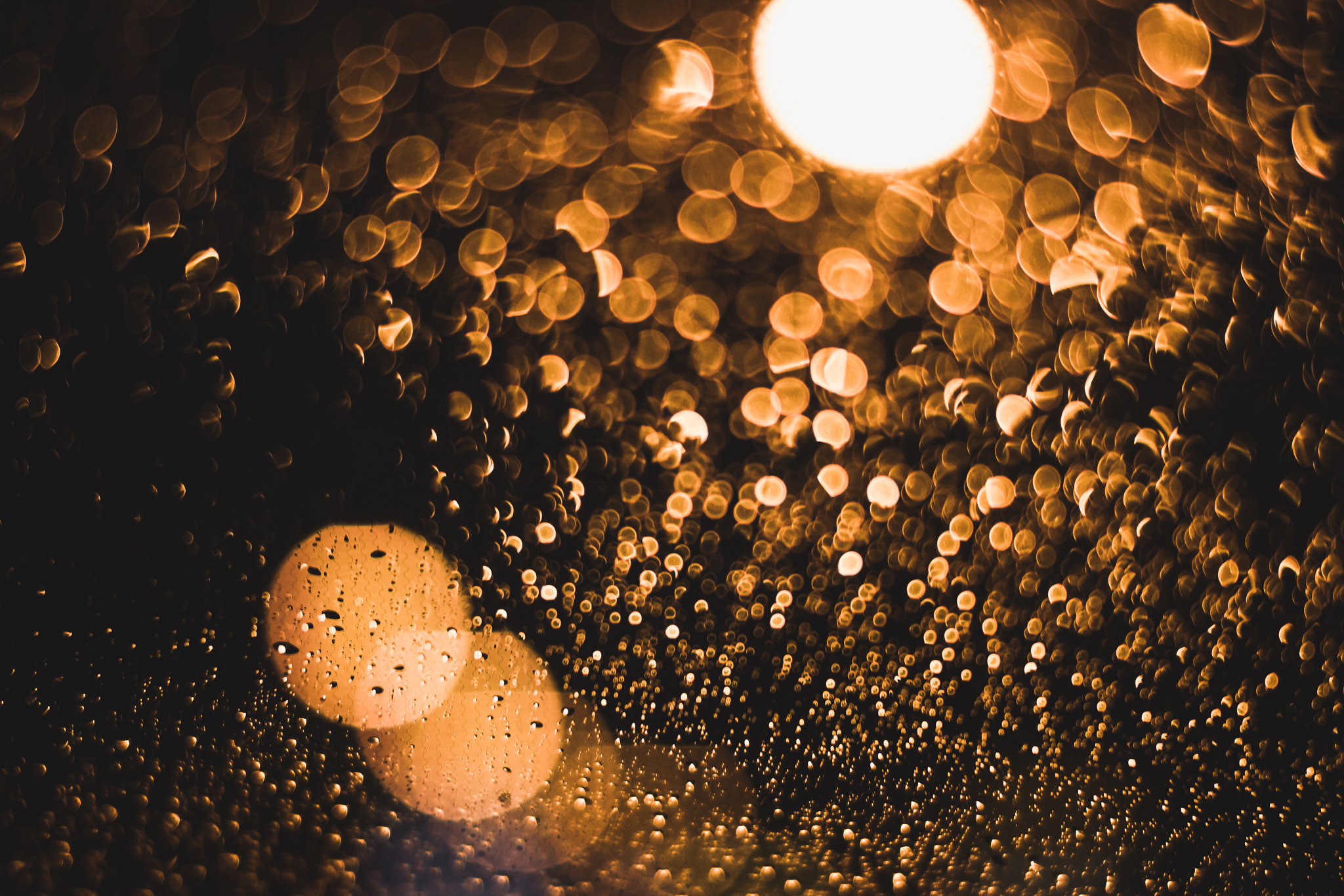 Sigma 50mm F1.4 EX DG HSM sample photo. Golden rain photography