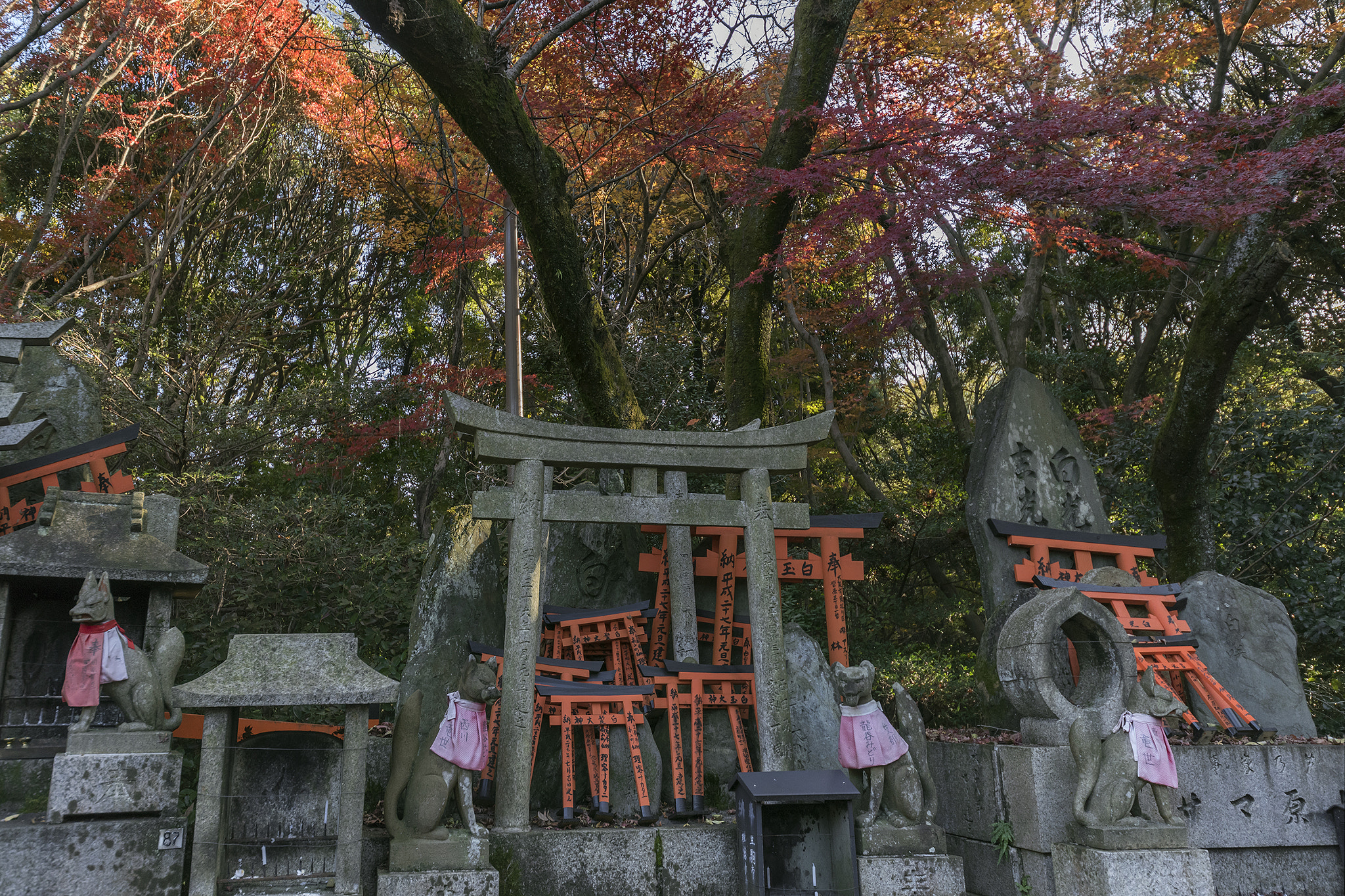 Sigma 12-24mm F4.5-5.6 II DG HSM sample photo. Kitsune and torii gates photography