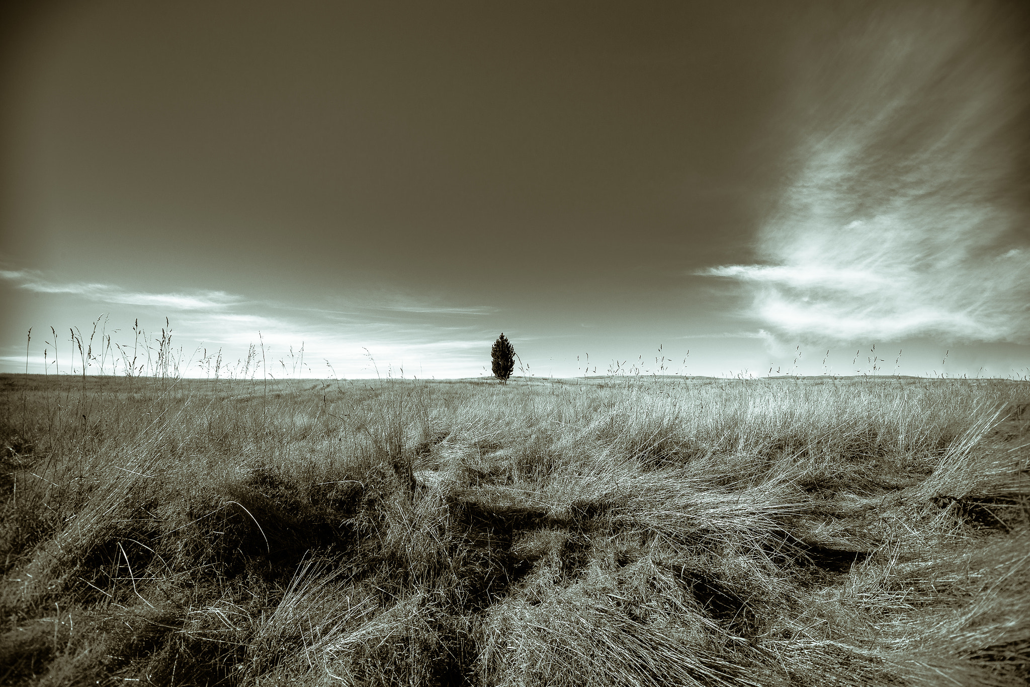 Sigma 10-20mm F3.5 EX DC HSM sample photo. Lonely :) photography