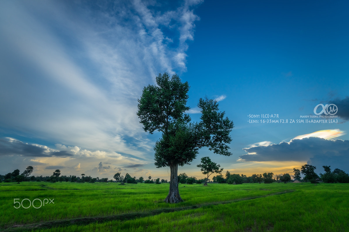 Sony Vario-Sonnar T* 16-35mm F2.8 ZA SSM II sample photo. Cloudy and clear! photography