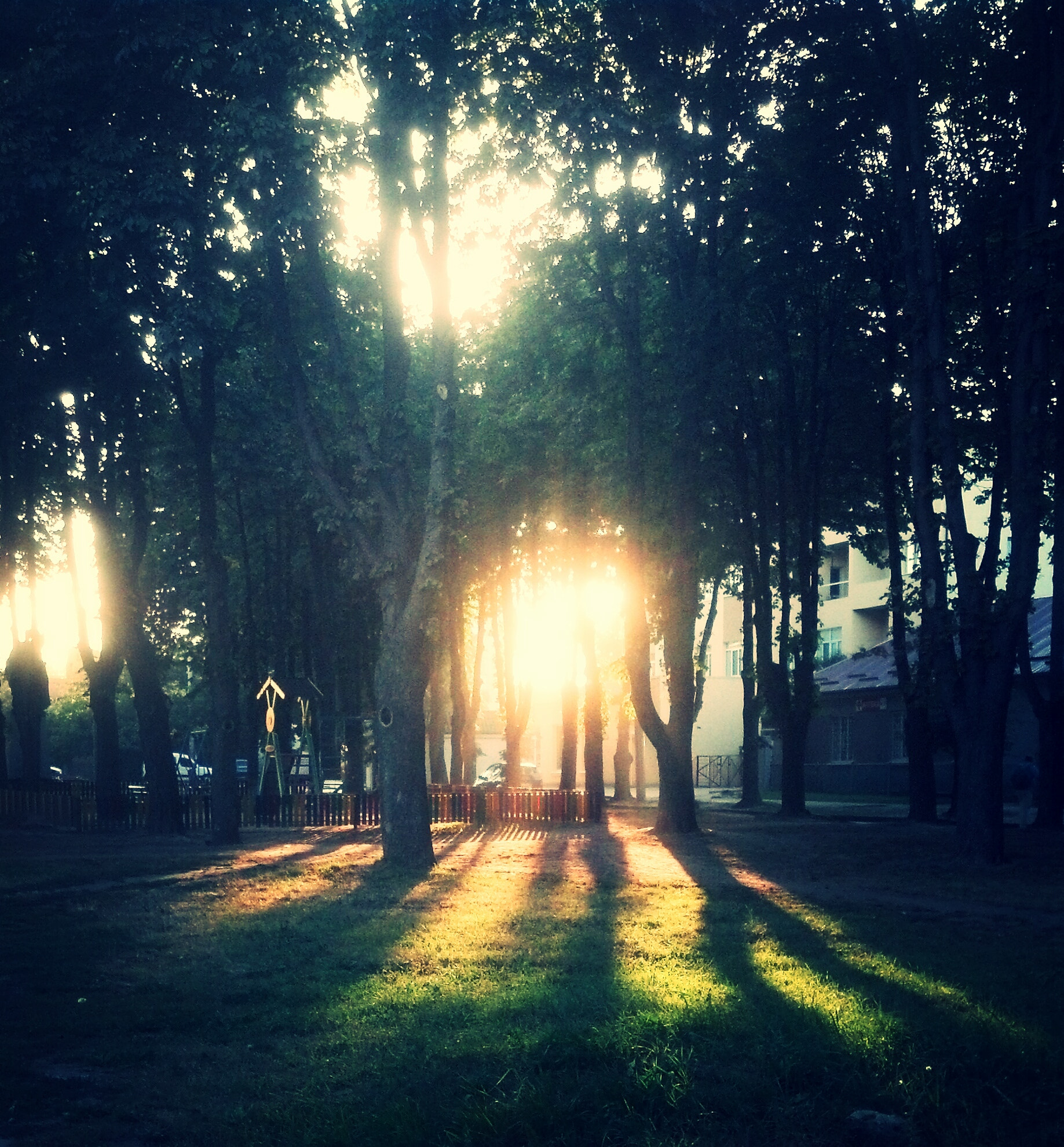 Motorola DROID RAZR sample photo