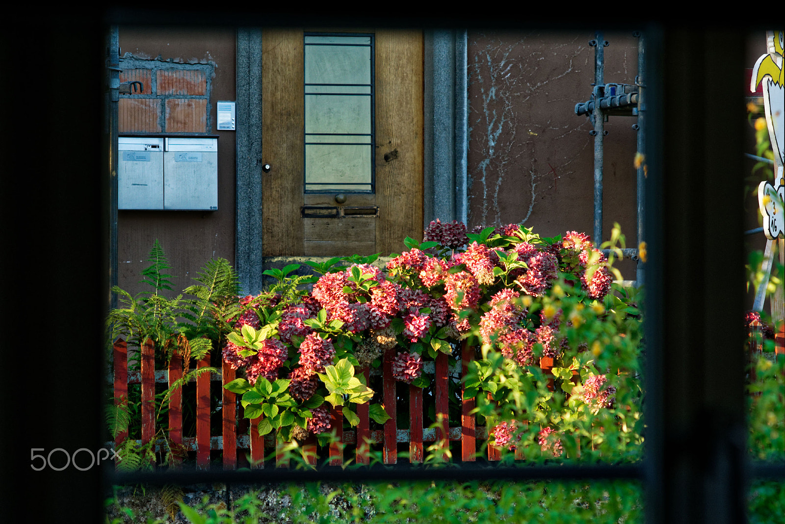 Manual Lens No CPU sample photo. Morning - out of the office window photography