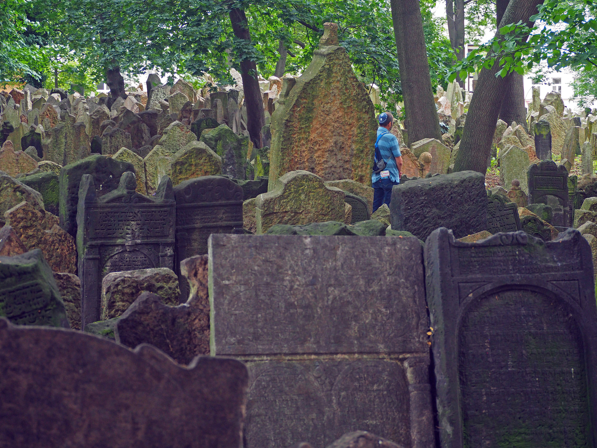 Olympus OM-D E-M5 II sample photo. Contemplation photography